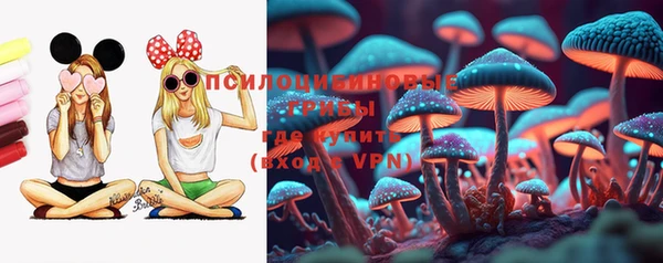 хмурый Саяногорск