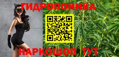 spice Славгород