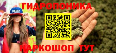 ешки Славянск-на-Кубани