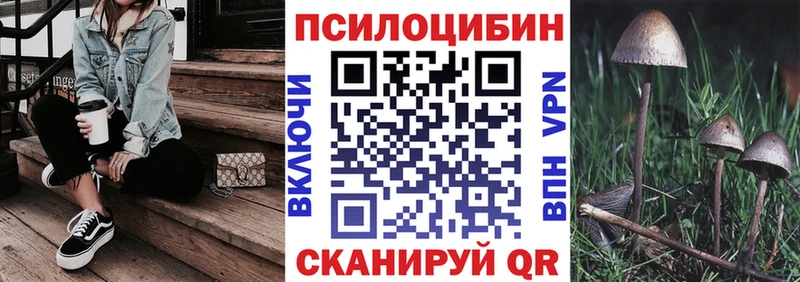 купить закладку  Унеча  Псилоцибиновые грибы MAGIC MUSHROOMS 