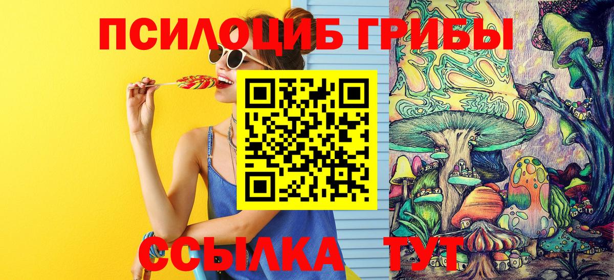 Унеча  как найти закладки  Вход с VPN  Галлюциногенные грибы Cubensis 